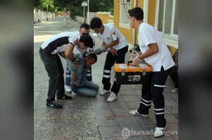 Bonzai değil kolonya bu hale getirdi