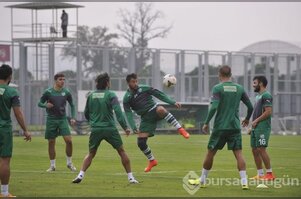 Timsah gol çalıştı