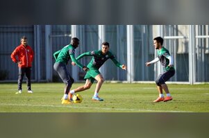 Timsah gözünü Gaziantep'e çevirdi