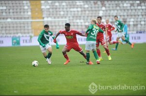 Timsah Sivas'ta buz kesti!