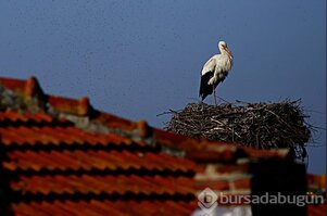 Bursa'da aşk başkadır