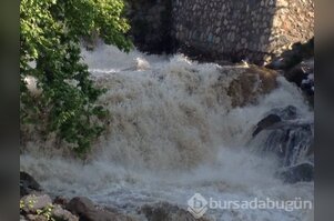 Bursa'da dere çocuğu yuttu!