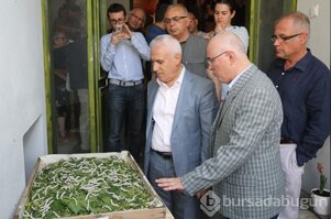 Sanatçı Yağlıdere'den 'İpekböceğinin Öyküsü'
