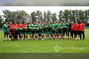 Timsah Almanya'da çalışmalara başladı