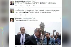 Erdoğan'ın başına konan keklik sosyal medyada gündem oldu	