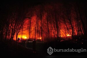 Bursa'nın ciğerleri yandı