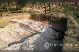 Kanuni'nin iç organlarının defnedildiği yer bulundu