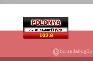 Hangi ülkede ne kadar altın var?

