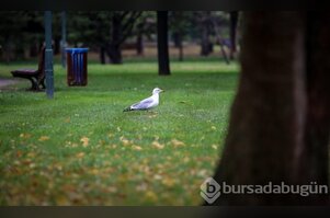 Bursa'da sonbahar!