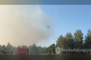 Bursa'da büyük yangın! 