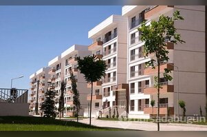 Kiralık evler açık artırma usulü çalıştığı belirtiliyor