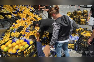 Düzce'de TIR'daki limonlar yola savruldu, vatandaşlar yardıma koştu
