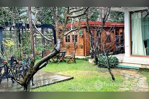 Sezen Aksu'nun stüdyosu dereye kaymaya başladı