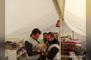 Tarım ve Orman Bakanlığı, afet bölgesindeki can dostlarının yardımına koşuyor