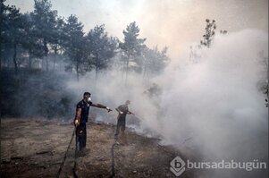 Çanakkale'deki orman yangını kontrol altına alındı