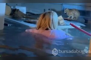 Kendi hayatını hiçe saydı, su dolu bodrumda mahsur kalan kediyi kurtardı