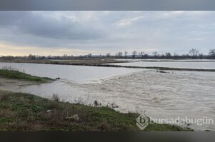 Çanakkale'de tarlalar su altında kaldı