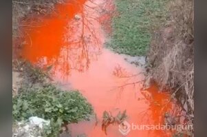 Bursa Ovası'nın sulama ihtiyacını karşılayan dere kızıla büründü