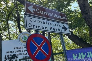 Ünü sınırları aştı! Bursa'daki bu park sosyal medyanın yıldızı oldu...