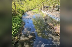 Bursa'da alarm veren görüntüler!