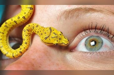 Haftanın unutulmaz fotoğrafları