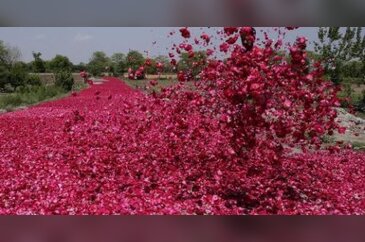Haftanın unutulmaz fotoğrafları