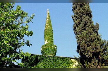 Sarmaşık Cami'yi görenler şaşırıyor