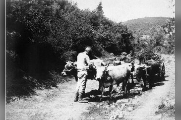 Öküz arabalarıyla Bursa yollarında