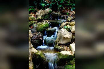 Facebook'un en güzel fotoğrafları