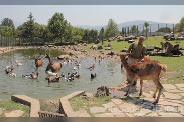 ZOO Park'ta sıcak alarmı