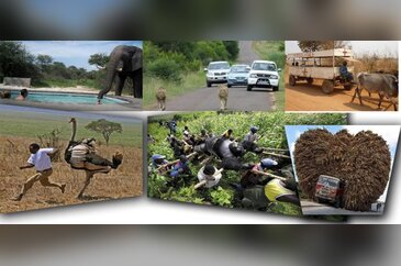 Afrika'dan akıl almaz kareler