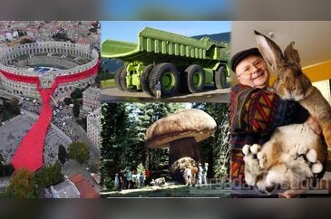 İşte dünyanın en büyükleri