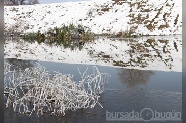  Bursa'da dereler dondu