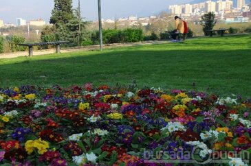 Bursa çiçek açtı 