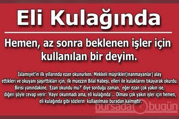 Hiç duymadınız!
