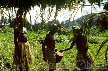 Afrika'nın küçük insanları 