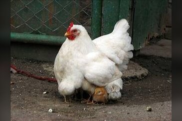 En ilginç bilimsel araştırma sonuçları