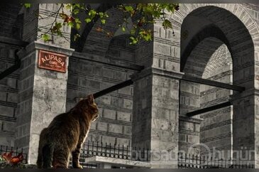 Bursa Ali Paşa Camii