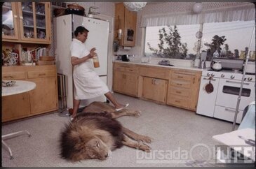 Aslanla aynı evde büyüdü!