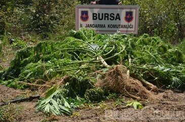 Bursa'da bugün neler oldu?6 Eylül 2013