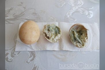 Bursa'da bugün neler oldu?  21 Eylül 2013