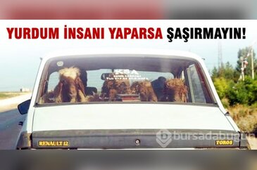Yurdum insanı yaparsa şaşırmayın!