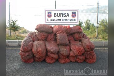 Bursa'da bugün neler oldu? 1Kasım 2013