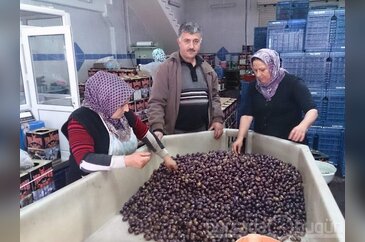 Bursa'da bugün neler oldu? 23 Kasım 2013