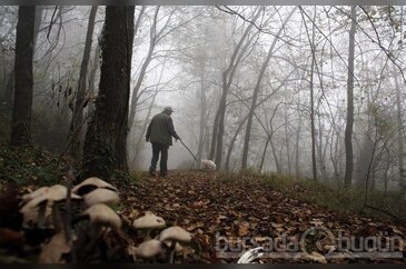 Adamın hayatı ormanda bunu aramakla geçti
