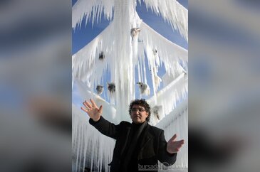 'Kesik öküz başlı' sanat
