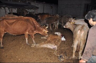 Bursa'da bugün neler oldu? 26 Mart 2014