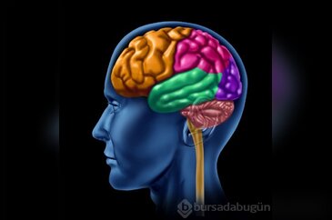 İnsan vücudu hakkında şaşırtıcı gerçekler!