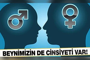 Beynimizin de cinsiyeti var...