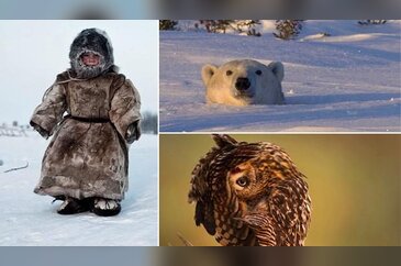 National Geographic'in 2014 'Gezginleri'
